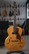 Godin 5th Avenue Kingpin + case (used)