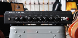 EBS RD250 Reidmar Bass Head 250 W (used)