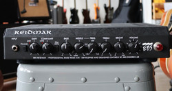 EBS RD250 Reidmar Bass Head 250 W (used)