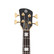 Spector Icon NS-2 Bolt-on Black Stain Gloss (new)