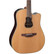 Takamine GB7C Garth Brooks elektroakustinen kitara + Softcase (uusi)