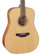 Takamine GD20-NS Acoustic Guitar (new)