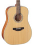 Takamine GD20-NS Acoustic Guitar (new)