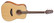 Takamine GD20-NS Acoustic Guitar (new)