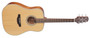 Takamine GD20-NS akustinen kitara (uusi)