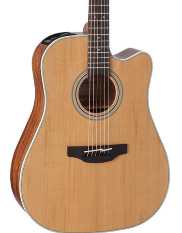 Takamine GD20CE-NS (new)