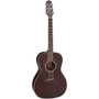 Takamine GY21E-SM elektroakustinen kitara (uusi)