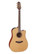Takamine P3DC Pro Series elektroakustinen kitara + Softcase (uusi)