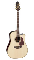 Takamine P5DC + Softcase (new)