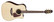 Takamine P5DC Pro Series elektroakustinen kitara + Softcase (uusi)