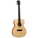 Tanglewood TS3 Acoustic Guitar (new)