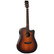 Tanglewood TWX5CEK Autumn Burst Gloss (new)