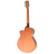 Tanglewood TRGT4CE (new)