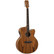 Tanglewood TRU7CE-AZ (new)