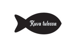 Graavattu siika siivutettu 300g (52,90 €/kg)
