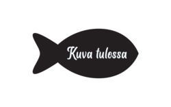 Siika, tuore, kotimainen, filee 400g (44,90€/kg)