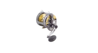 Shimano Tyrnos 20