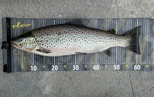 Hurricane Measure Ruler 140cm