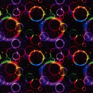 Värikkäät kuplat Lycra 