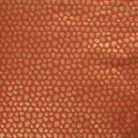 Kultainen pääkallo- trikoo