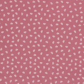 Painetut lehdet  Vanha Roosa