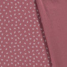 Painetut lehdet  Vanha Roosa