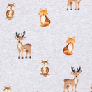 Pienet eläimet Harjattu college