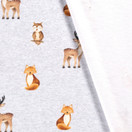 Pienet eläimet Harjattu college