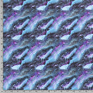 Avaruus Harjattu College