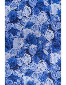 Ruusumeri, Sininen Lycra