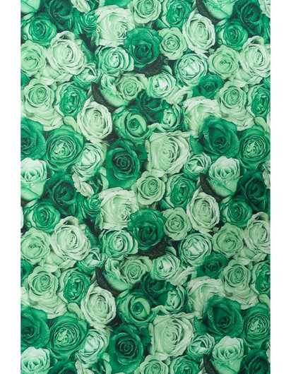 Ruusumeri, VIhreä Lycra