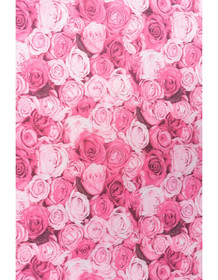 Ruusumeri, Vaaleanpunainen Lycra