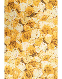 Ruusumeri, Keltainen Lycra