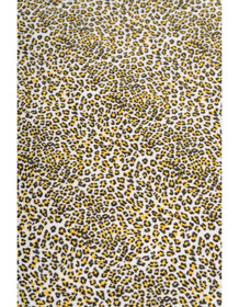 Joustofrotee leobardi