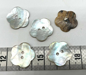 Helmiäisnappi Kukka