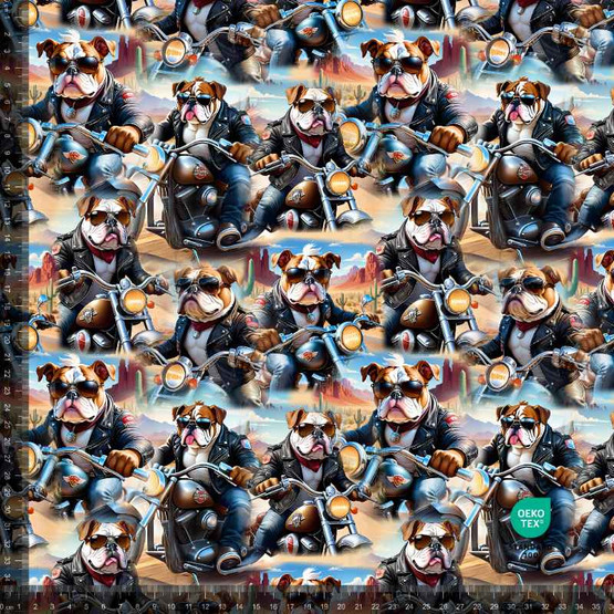 Joustocollege: Buldokit ja moottoripyörät