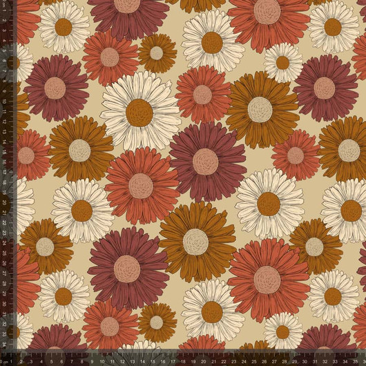 Trikoo: Päivänkakkarat