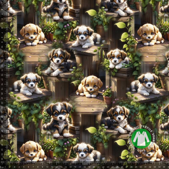 Trikoo: Koiranpennut