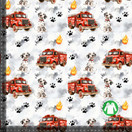 Trikoo: Dalmatialaiset ja paloautot