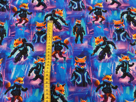 Rokki kettu joustocollege