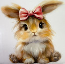  Pupu rusetti päässä silityskuva