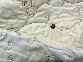 TIkkikangas: Kukkasia