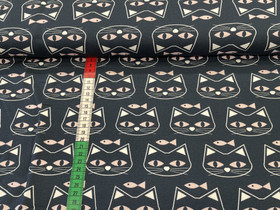 Kissat pinkillä kalalla joustocollege