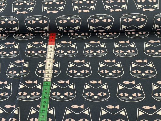 Kissat pinkillä kalalla joustocollege