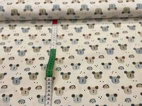 Rici-karhu vakosametti