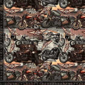 Trikoo: Moottoripyörät